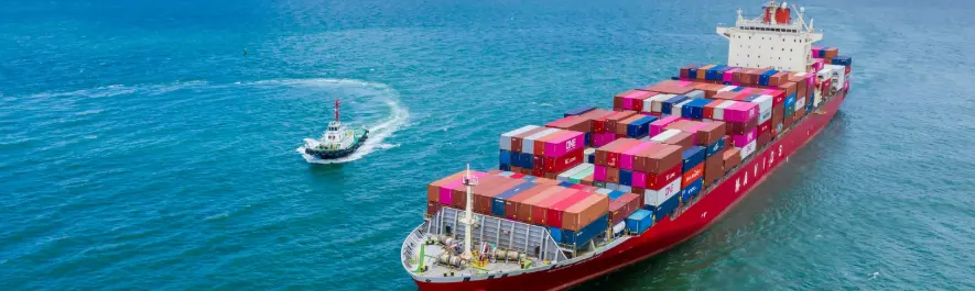 Services 14 International Shipments Items